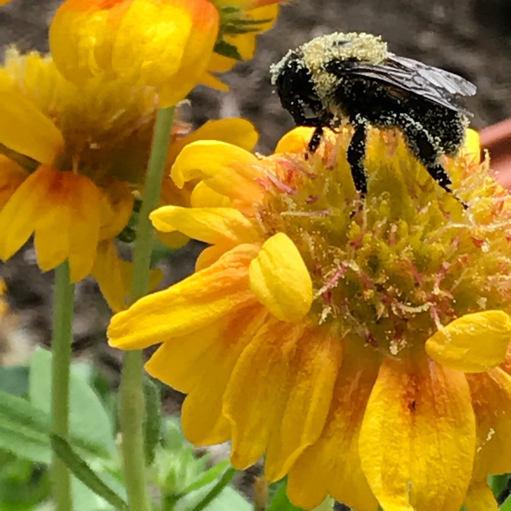 Meet your Posher, Erica